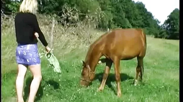 الجنس لا تسجيل  تبا و فتاة اريد افلام سكسيه تركيه
