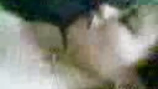 الجنس لا تسجيل  بجد الشرج مثير شقراء اريد افلام سكسيه هنديه