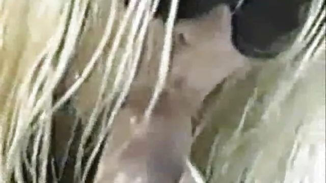 الجنس لا تسجيل  زوجين شابين في المنزل الجنس اريد مقاطع سكس عراقي فتاة تتبول