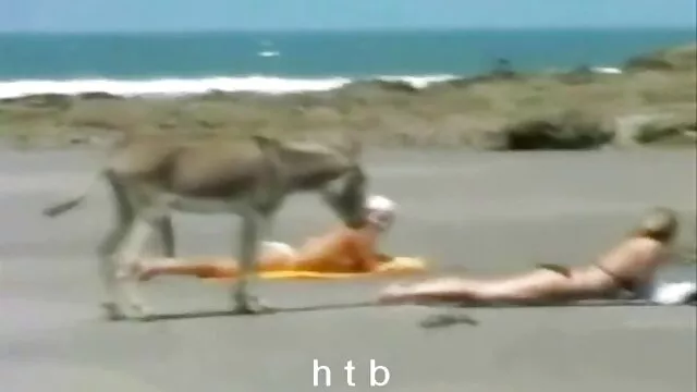 الجنس لا تسجيل  حتى الخريف تحصل مارس اريد افلام سكسي عراقي الجنس على شاطئ مهجور