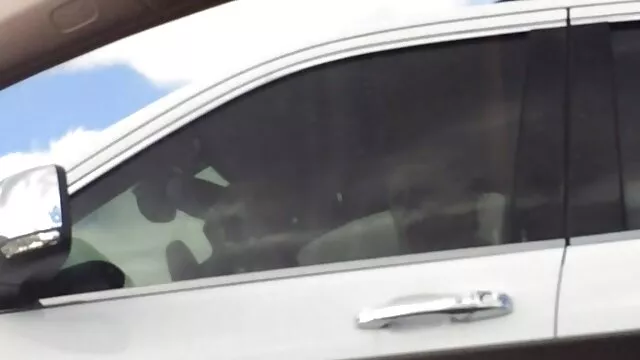 الجنس لا تسجيل  الجنس في الغابة اريد فيلم سكسي فيديو لا يزال لم يتم إلغاؤه