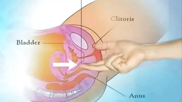 الجنس لا تسجيل  رجل ومناصرو اريد افلام سكس امريكي