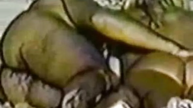 الجنس لا تسجيل  فيم الجنس فيتنام اريد فيلم سكسي لبناني